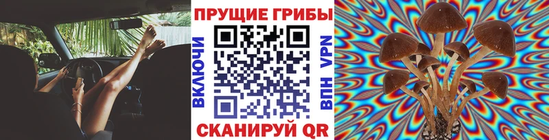 Галлюциногенные грибы Cubensis  Торжок 